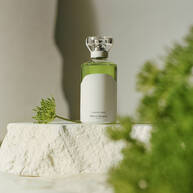 (untitled)